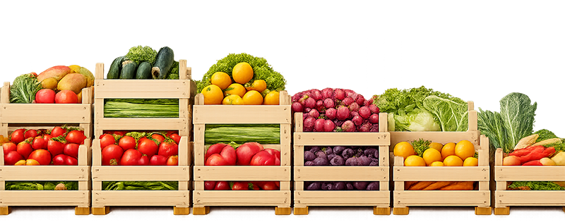 obst mit transpa v02
